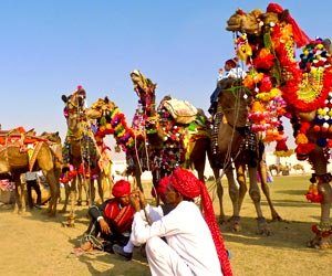 Pushkar Mela: Largest camel trading fair in the world: