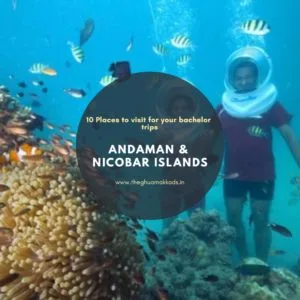 Find yourself before you find a partner. Travel underwater. Live in different versions with all the fun. Find yourself before you find a partner. Travel underwater. Live in different versions with all the fun.