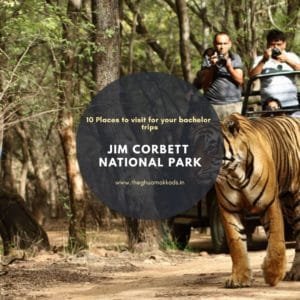 Something for the fun of wildlife with all your 'junglee toli' at Jim Corbett National Park.