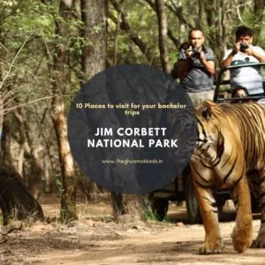 Something for the fun of wildlife with all your 'junglee toli' at Jim Corbett National Park. Something for the fun of wildlife with all your 'junglee toli' at Jim Corbett National Park.