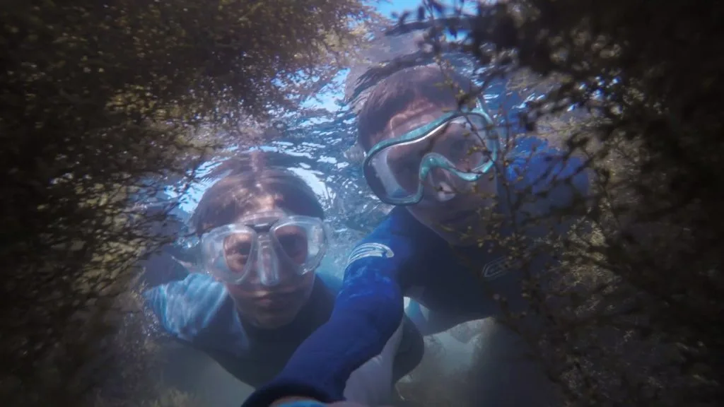 representative image of snorkeling under water