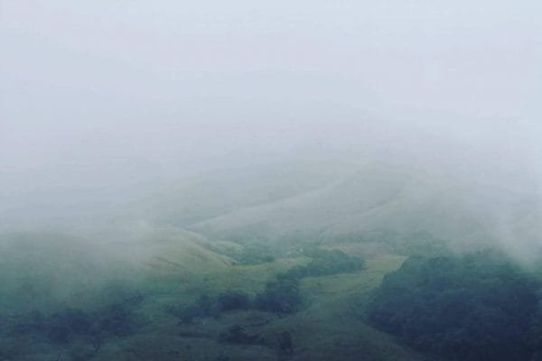 Thick blanket of fog covered the view ahead of us